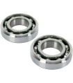 BEARING-CRANK RMZ250