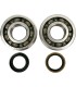 BEARING CRANK K057