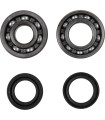 BEARING CRANK YAMAHA