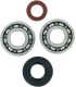 BEARING CRANK MSE KTM