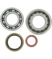 BEARING CRANK K066