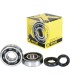 CRANK BEARING SEAL KIT