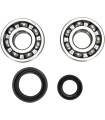 CRANK BEARING SEAL KIT