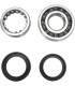 CRANK BEARING SEAL KIT