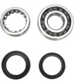 CRANK BEARING SEAL KIT