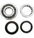 CRANK BEARING SEAL KIT