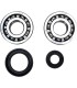 CRANK BEARING SEAL KIT