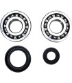 CRANK BEARING SEAL KIT