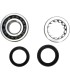 CRANK BEARING SEAL KIT