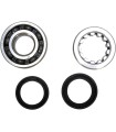 CRANK BEARING SEAL KIT