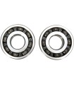 CRANK BEARING SEAL KIT