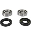 CRANK BEARING SEAL KIT