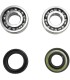 CRANK BEARING SEAL KIT