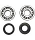 CRANK BEARING SEAL KIT