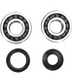 CRANK BEARING SEAL KIT