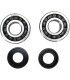 CRANK BEARING SEAL KIT