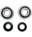 CRANK BEARING SEAL KIT