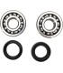 CRANK BEARING SEAL KIT