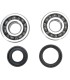 CRANK BEARING SEAL KIT