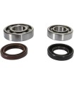 CRANK BEARING SEAL KIT