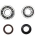 CRANK BEARING SEAL KIT