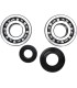 CRANK BEARING SEAL KIT