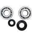 CRANK BEARING SEAL KIT