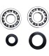 CRANK BEARING SEAL KIT