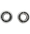 CRANK BEARING SEAL KIT
