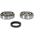 CRANK BEARING SEAL KIT