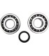 CRANK BEARING SEAL KIT