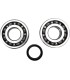 CRANK BEARING SEAL KIT
