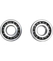 CRANK BEARING SEAL KIT