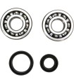 CRANK BEARING SEAL KIT
