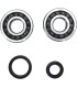 CRANK BEARING SEAL KIT