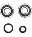 CRANK BEARING SEAL KIT