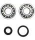 CRANK BEARING SEAL KIT