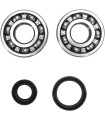 CRANK BEARING SEAL KIT