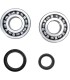 CRANK BEARING SEAL KIT