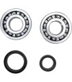 CRANK BEARING SEAL KIT