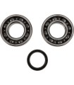 CRANK BEARING SEAL KIT