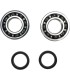 CRANK BEARING SEAL KIT