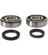 CRANK BEARING SEAL KIT