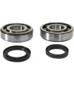CRANK BEARING SEAL KIT
