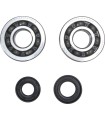 CRANK BEARING SEAL KIT