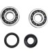 CRANK BEARING SEAL KIT