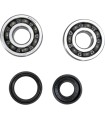 CRANK BEARING SEAL KIT