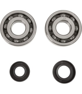 CRANK BEARING SEAL KIT