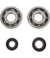CRANK BEARING SEAL KIT