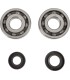 CRANK BEARING SEAL KIT